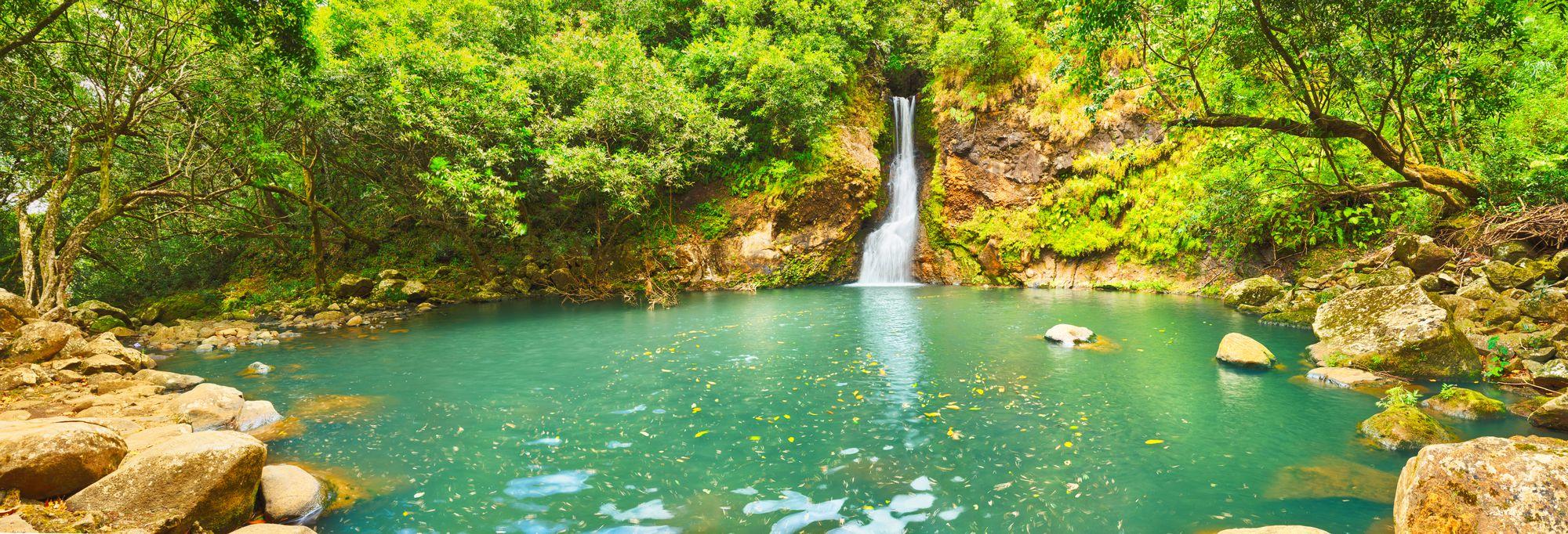 Scenic Cascade Chamouze waterfall. Mauritius island. Panorama Scenic Cascade Chamouze waterfall, República de Mauricio