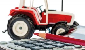 Inversiones agrícolas en Uruguay