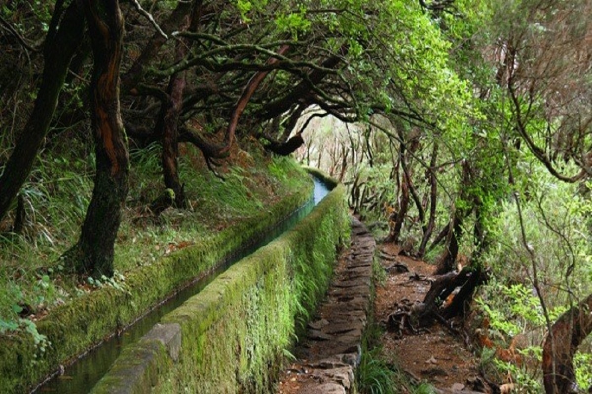 PARAÍSOS DO ATLÂNTICO 2